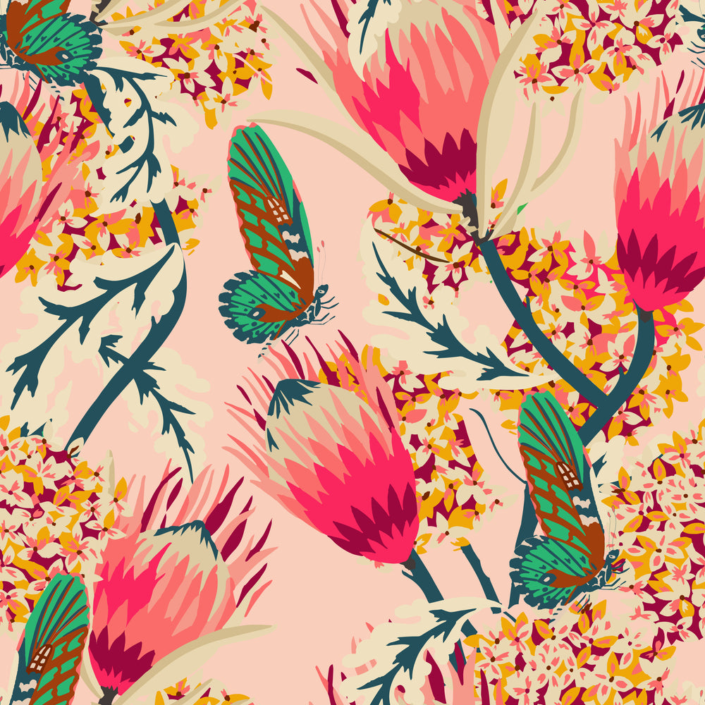 Holli Zollinger Butterfly Protea Pink July Delivery